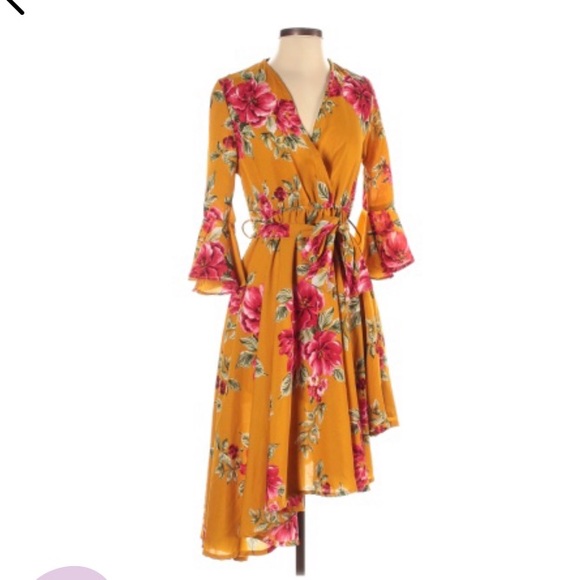 love chesley Dresses & Skirts - Love Chesley v neck floral Aline dress